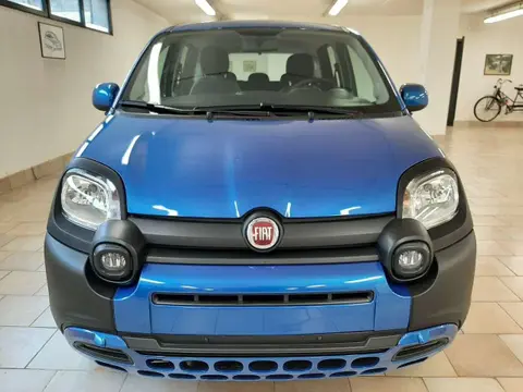 Annonce FIAT PANDA Hybride 2023 d'occasion 