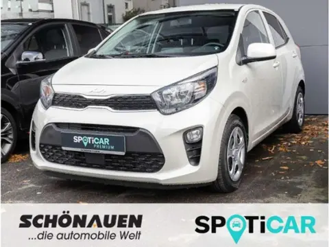 Used KIA PICANTO Petrol 2024 Ad 