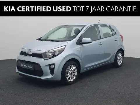 Annonce KIA PICANTO Essence 2019 d'occasion 