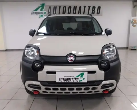 Annonce FIAT PANDA Essence 2024 d'occasion 