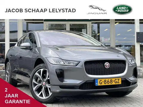 Used JAGUAR I-PACE Electric 2019 Ad 