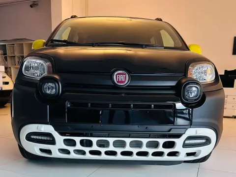 Annonce FIAT PANDA Hybride 2024 d'occasion 