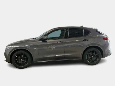 Used ALFA ROMEO STELVIO Diesel 2020 Ad 