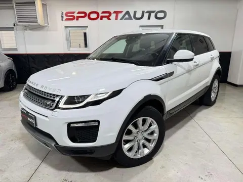 Used LAND ROVER RANGE ROVER EVOQUE Diesel 2018 Ad 