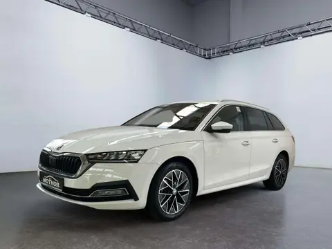 Annonce SKODA OCTAVIA Diesel 2020 d'occasion 