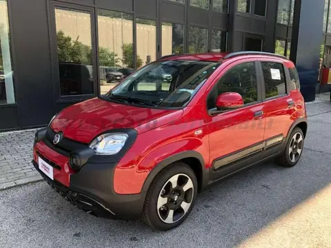 Used FIAT PANDA Hybrid 2024 Ad 