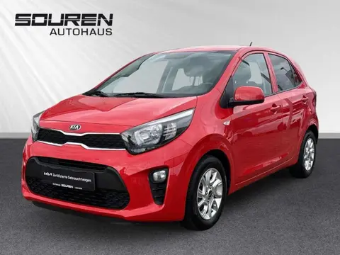 Annonce KIA PICANTO Essence 2019 d'occasion 