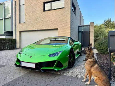 Annonce LAMBORGHINI HURACAN Essence 2024 d'occasion 