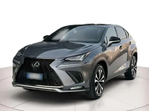 Used LEXUS NX Hybrid 2020 Ad 