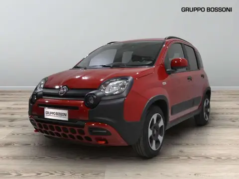 Used FIAT PANDA Hybrid 2023 Ad 