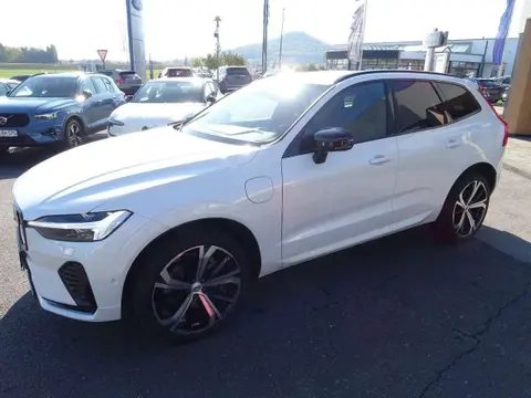 Used VOLVO XC60 Hybrid 2021 Ad 