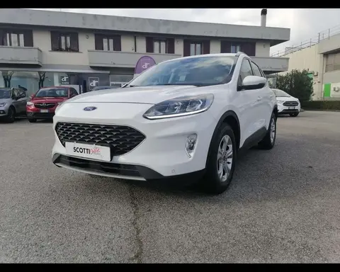 Used FORD KUGA Diesel 2021 Ad 