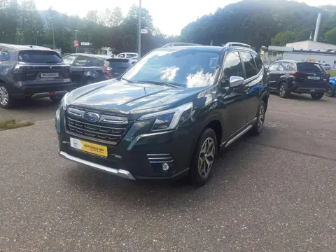 Annonce SUBARU FORESTER Essence 2024 d'occasion 