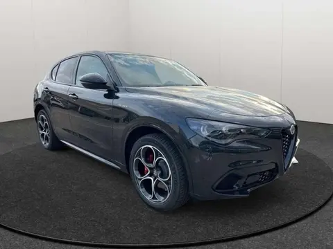 Used ALFA ROMEO STELVIO  2024 Ad 