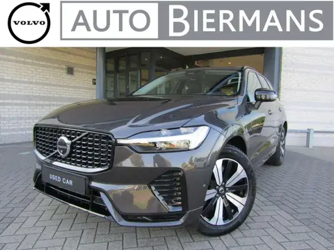 Annonce VOLVO XC60 Hybride 2024 d'occasion 