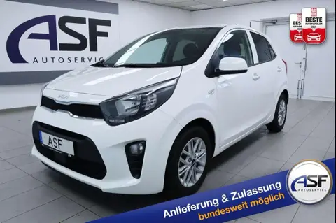 Used KIA PICANTO Petrol 2023 Ad 