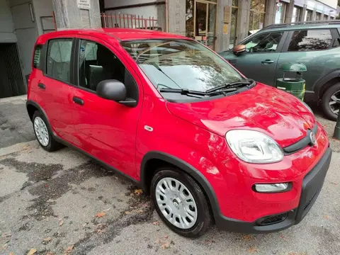 Used FIAT PANDA Hybrid 2024 Ad 