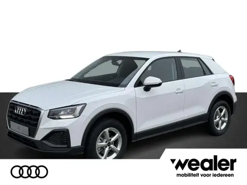 Annonce AUDI Q2 Essence 2024 d'occasion 