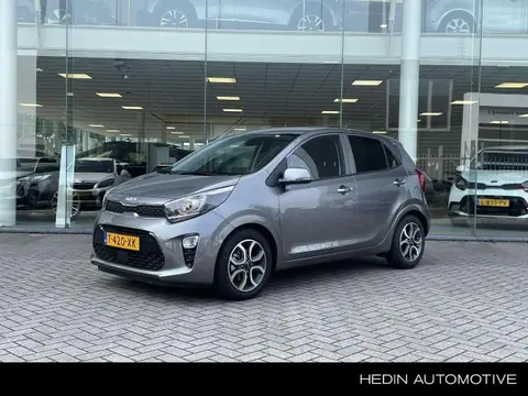 Used KIA PICANTO Petrol 2023 Ad 