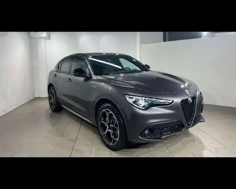 Annonce ALFA ROMEO STELVIO Diesel 2022 d'occasion 