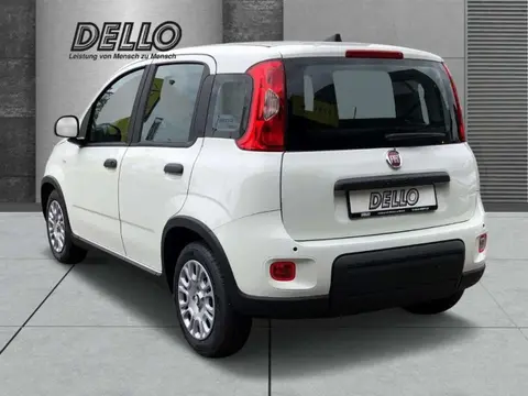 Used FIAT PANDA Petrol 2024 Ad 