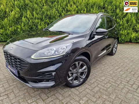 Used FORD KUGA Hybrid 2023 Ad 