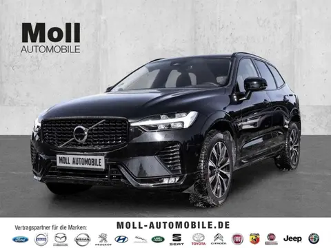 Annonce VOLVO XC60 Diesel 2023 d'occasion 