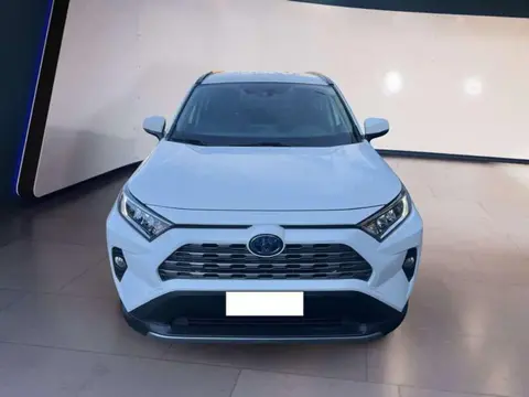 Used TOYOTA RAV4 Hybrid 2019 Ad 