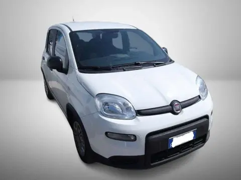 Used FIAT PANDA Hybrid 2023 Ad 