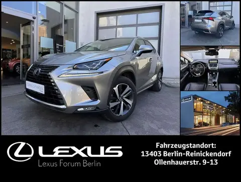 Used LEXUS NX Hybrid 2018 Ad 