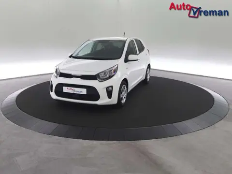 Used KIA PICANTO Petrol 2024 Ad 