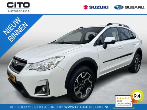 Annonce SUBARU XV Essence 2016 d'occasion 