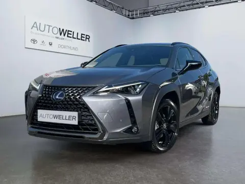 Annonce LEXUS UX Hybride 2021 d'occasion 