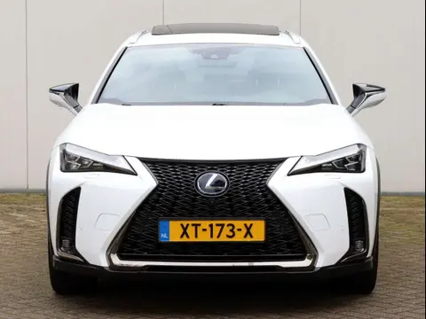 Used LEXUS UX Hybrid 2019 Ad 