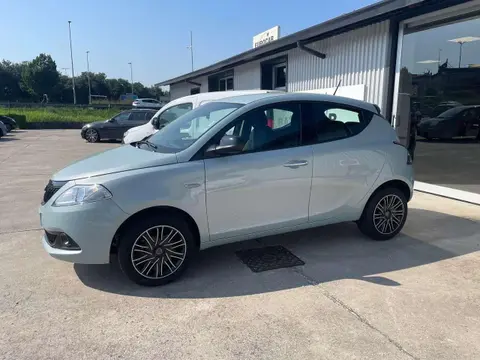 Used LANCIA YPSILON Hybrid 2024 Ad 