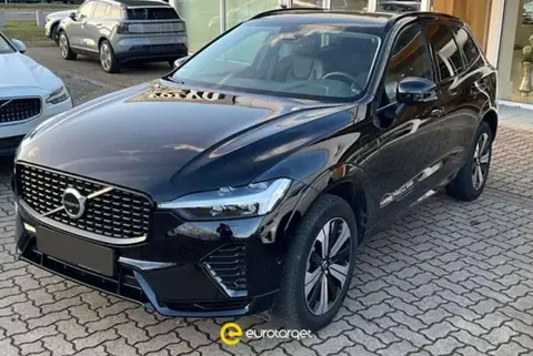 Annonce VOLVO XC60 Hybride 2022 d'occasion 