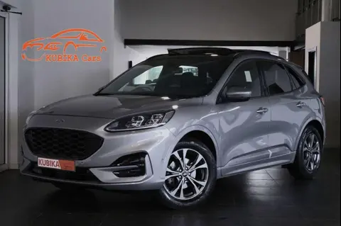 Annonce FORD KUGA Essence 2022 d'occasion 