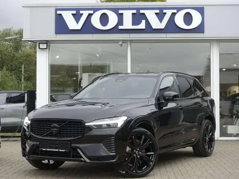 Used VOLVO XC60 Hybrid 2024 Ad 