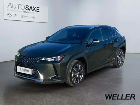 Used LEXUS UX Hybrid 2022 Ad 