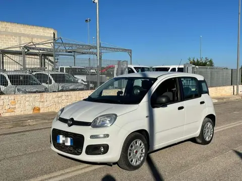 Annonce FIAT PANDA Diesel 2019 d'occasion 