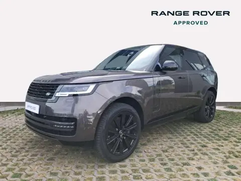 Annonce LAND ROVER RANGE ROVER  2024 d'occasion 