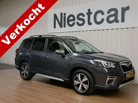 Used SUBARU FORESTER Hybrid 2020 Ad 