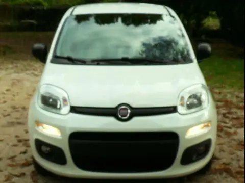 Used FIAT PANDA Petrol 2017 Ad 