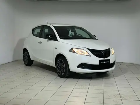 Used LANCIA YPSILON Petrol 2024 Ad 