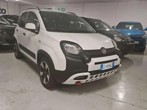 Annonce FIAT PANDA Hybride 2024 d'occasion 