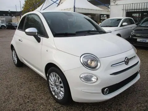 Used FIAT 500 Petrol 2023 Ad 