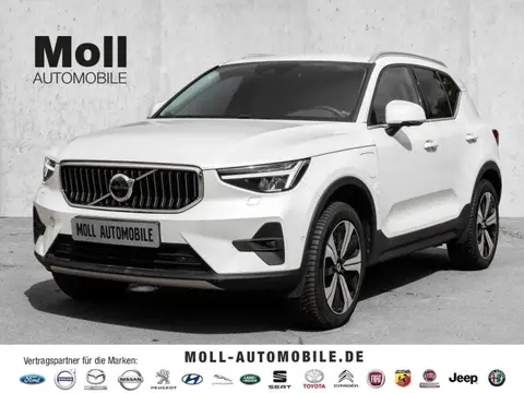 Used VOLVO XC40 Hybrid 2023 Ad 