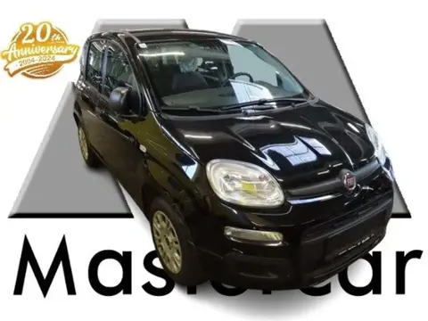 Used FIAT PANDA Petrol 2020 Ad 