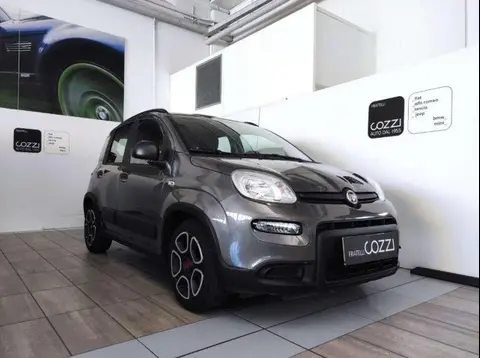 Used FIAT PANDA Hybrid 2022 Ad 