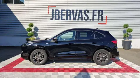 Annonce FORD KUGA  2022 d'occasion 